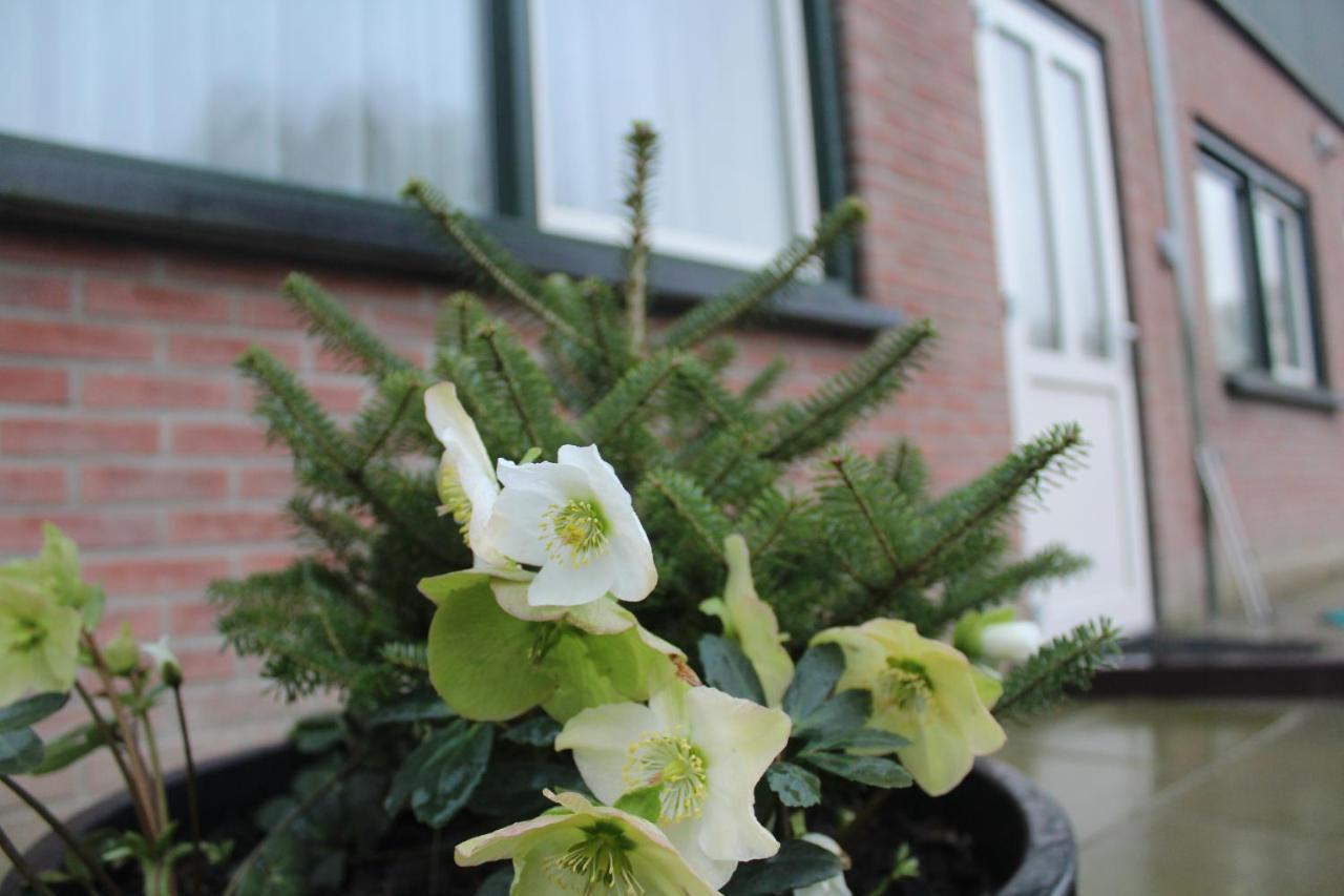 Landzicht Apartment Woubrugge Екстериор снимка